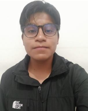 Integrante adicional